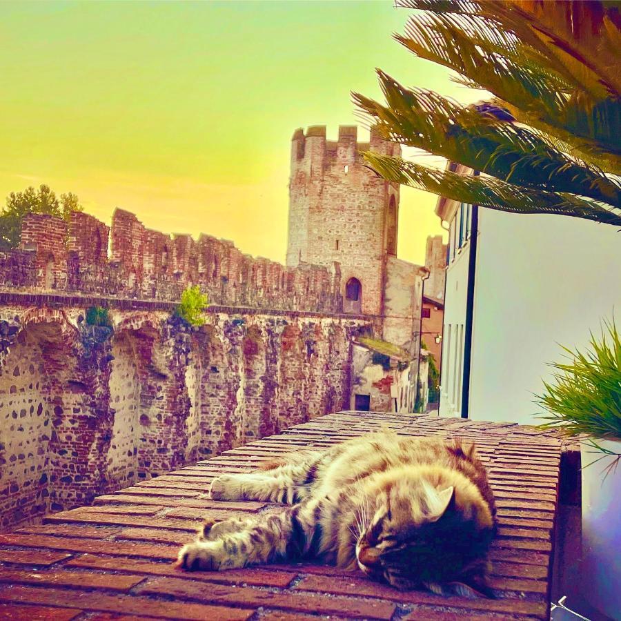 Ca' Del Sole - Attico Panoramico In Centro Storico Apartment Montagnana  Exterior foto